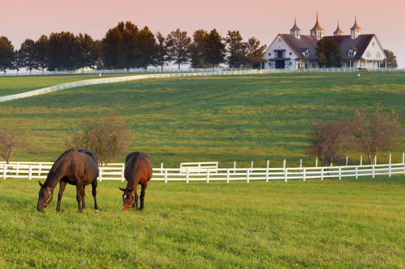 Equine Fence Installation in South Houston, TX