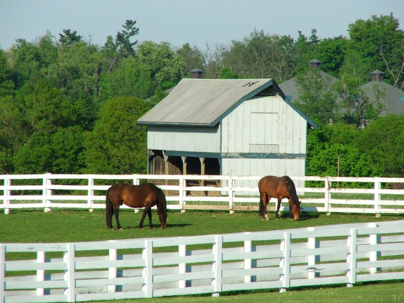 Horse Paddock Installation in Roseville, CA