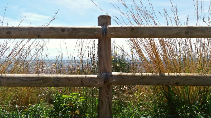 Timber Fence Installation in Pearland, TX